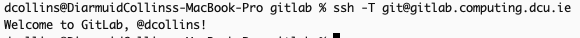 Welcome to Gitlab!! 